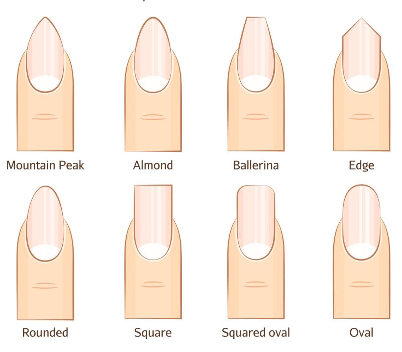 Nail Shape Guide: How to Shape Your Nails Perfectly – Nghia Nippers USA