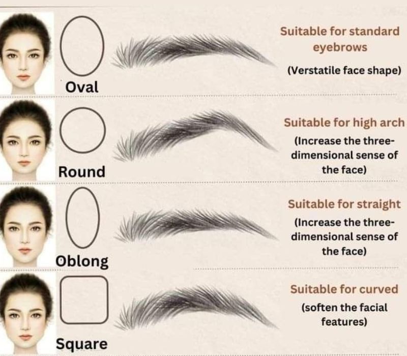 https://nghianippersusa.com/cdn/shop/articles/Top_10_eyebrow_shapes_that_are_suitable_for_all_face_types_95469baa-c86e-4ccd-aec0-554329ed8bb9.jpg?v=1749709400