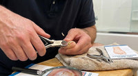 Stop Ingrown Nails: Choosing the Right Heavy Duty Men's Toe Nail Clippers